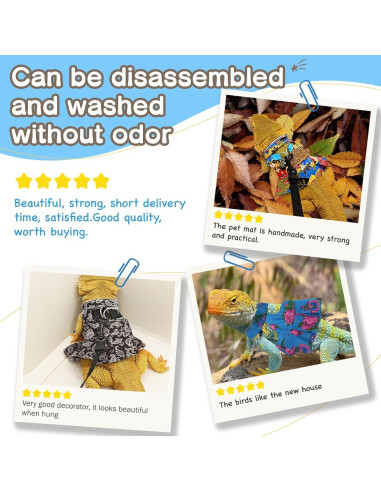 Arnés y Correa Ajustable HOKABLE para Lagarto y Pequeños Animales