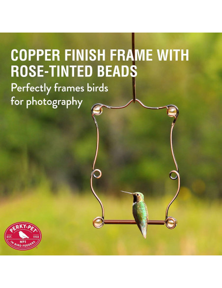 Columpio para Colibríes Perky-Pet con Perlas de Cobre