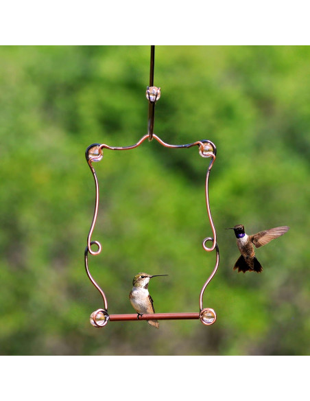 Columpio para Colibríes Perky-Pet con Perlas de Cobre