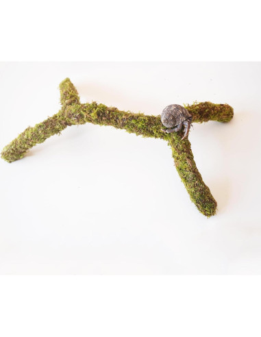 Poste de Musgo para Cangrejos Ermitaños Begeterday 30.48 cm