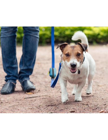 Bolsa de Desechos Cutie's PetBox con Soporte y Dispensador Azul