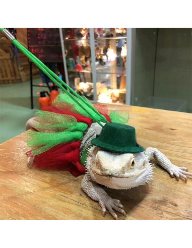 Conjunto de Disfraz para Dragón Barbudo TTMIMIK - Arnés, Sombrero y Tutu