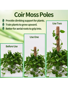 Postes de Musgo Eibikdi 6 Pcs Soporte para Plantas 172.72 cm 2