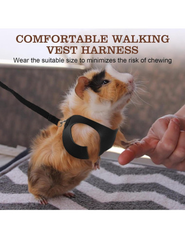 Arnés y Correa para Gliders de Azúcar Rislobx - Paquete de 3