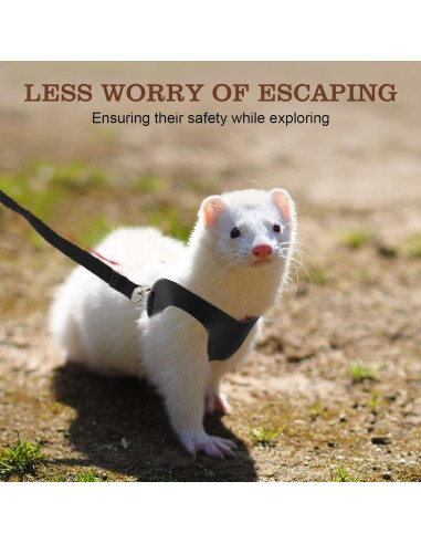 Arnés y Correa para Gliders de Azúcar Rislobx - Paquete de 3