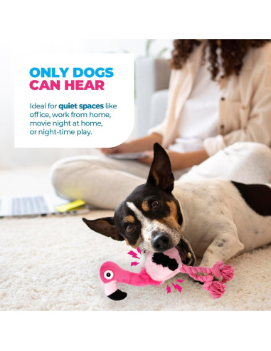 Juguete Ultrasonido Silencioso para Perros All For Paws Flamenco