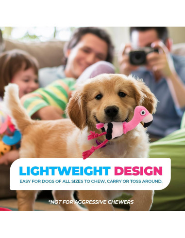 Juguete Ultrasonido Silencioso para Perros All For Paws Flamenco