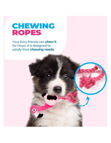 Juguete Ultrasonido Silencioso para Perros All For Paws Flamenco