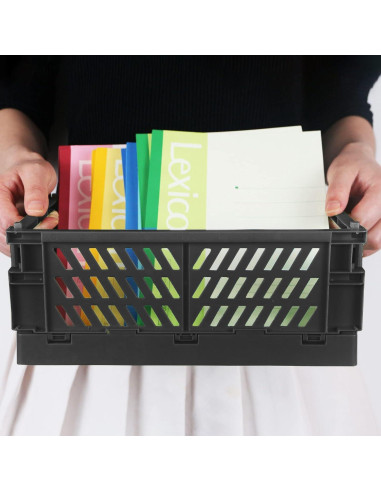 Cajas de Almacenamiento Plegables Tixill 2-Pack 24.9x16.5cm Negro