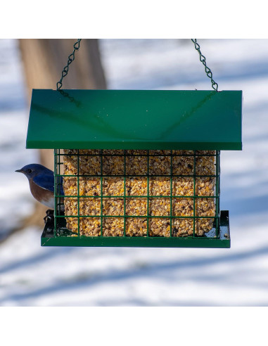 Alimentador de Aves Silvestres C&S EZ Fill Deluxe 20.3x27.4cm