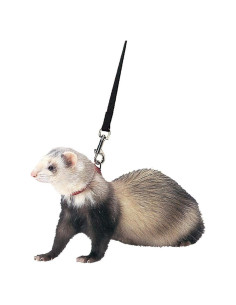 Arnés y Correa Ajustable Marshall para Hurones - Negro