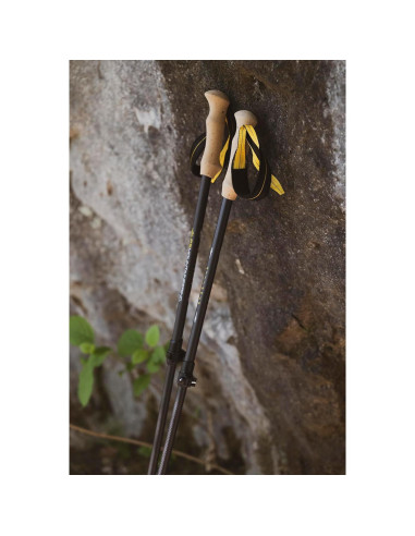 Bastones de Senderismo ALPS Alliance, Juego de 2, Negro