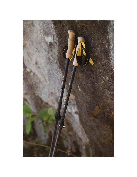 Bastones de Senderismo ALPS Alliance, Juego de 2, Negro