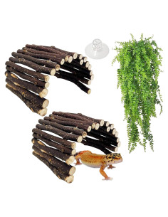 Escondite de Madera para Reptiles Hamiledyi 30x15 cm