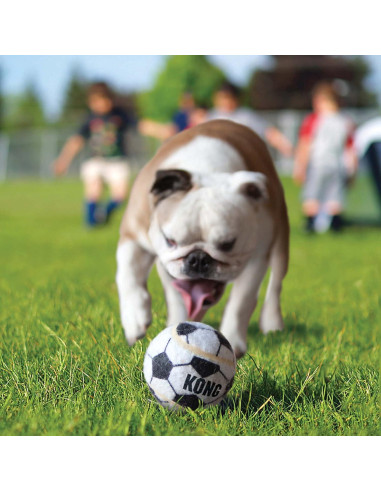 Pelotas Deportivas KONG X-Pequeño 3 Paquete - Resistentes