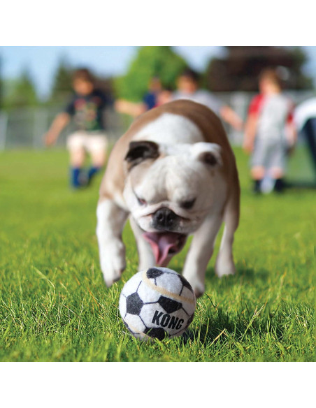 Pelotas Deportivas KONG X-Pequeño 3 Paquete - Resistentes