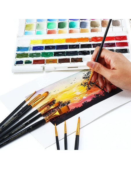 Set de Pinceles de Pintura Transon 20 Piezas Nylon Negro