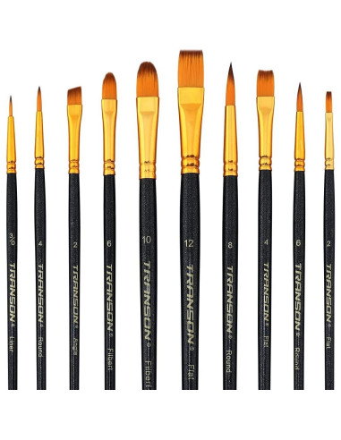 Set de Pinceles de Pintura Transon 20 Piezas Nylon Negro