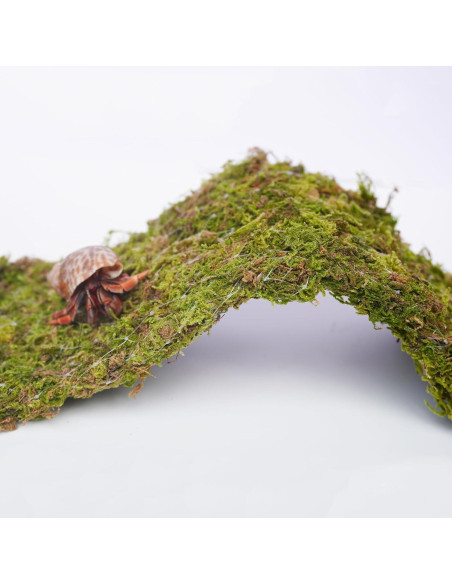 Puente de Escalada para Cangrejos Ermitaños Begeterday 34 cm