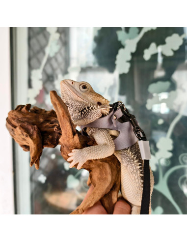 Juego de Arnés y Correa TTMIMIK para Dragón Barbudo - 3 Tamaños