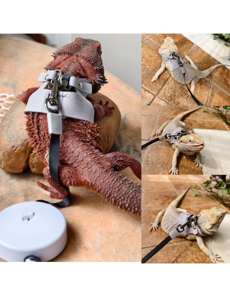 Juego de Arnés y Correa TTMIMIK para Dragón Barbudo - 3 Tamaños Juego de Arnés y Correa TTMIMIK para Dragón Barbudo - 3 Tamaños