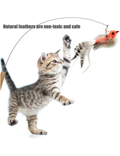 Recargas de Juguetes de Plumas para Gatos CATENEED 5 Piezas 2