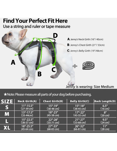 Arnés para Perros Huntboo a Prueba de Escape Negro S