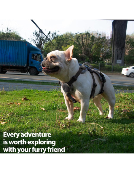 Arnés para Perros Huntboo a Prueba de Escape Negro S Arnés para Perros Huntboo a Prueba de Escape Negro S