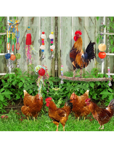 14 Accesorios para Coop de Pollos KAKUNM - Juguetes Divertidos