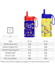 Botella de Agua Iron Flask para Niños 0.29L Acero Inoxidable 2