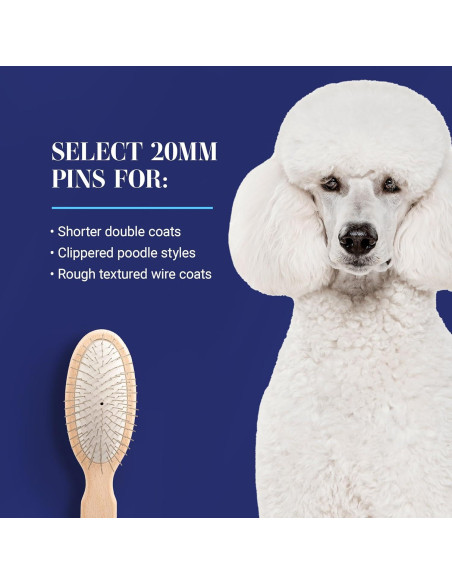 Cepillo Ovalado para Perros Chris Christensen 20 mm, Madera de Haya