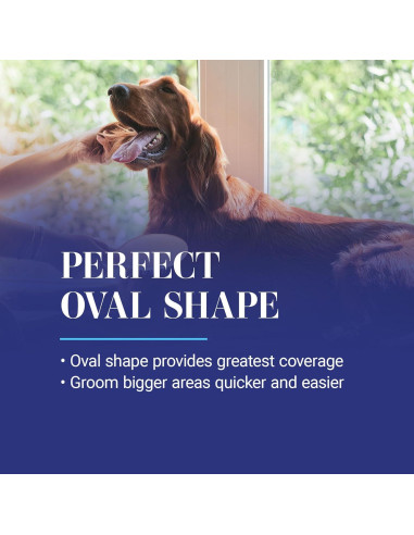 Cepillo Ovalado para Perros Chris Christensen 20 mm, Madera de Haya