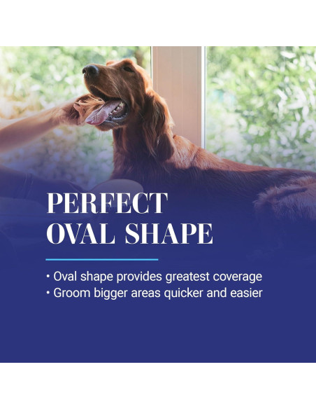 Cepillo Ovalado para Perros Chris Christensen 20 mm, Madera de Haya