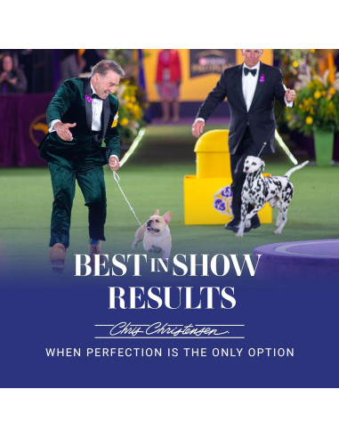 Cepillo Ovalado para Perros Chris Christensen 20 mm, Madera de Haya