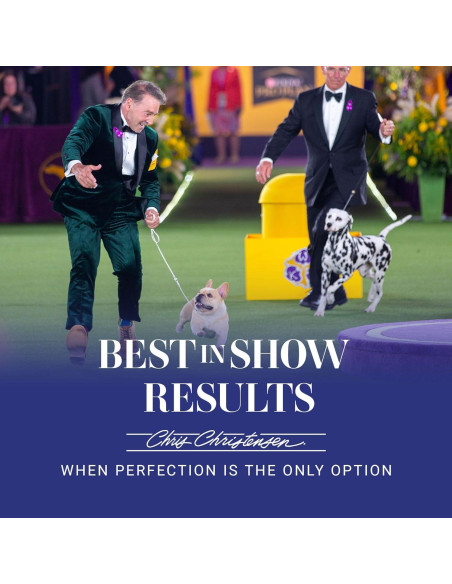 Cepillo Ovalado para Perros Chris Christensen 20 mm, Madera de Haya