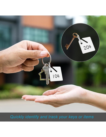 60 Etiquetas de Llave Ranuradas Koorito con Ganchos de Metal