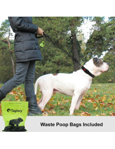 Correa para Perros Taglory 1.2m Reflectante con Mango Acolchado 2