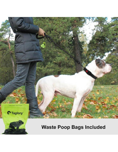 Correa para Perros Taglory 1.2m Reflectante con Mango Acolchado