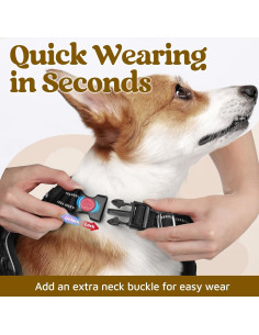 Arnés para Perros Rabbitgoo Pequeño Negro Ajustable y Acolchado 2