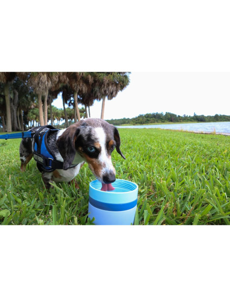 Estación de Agua para Mascotas OhmyPet 32oz con 3 Cuencos