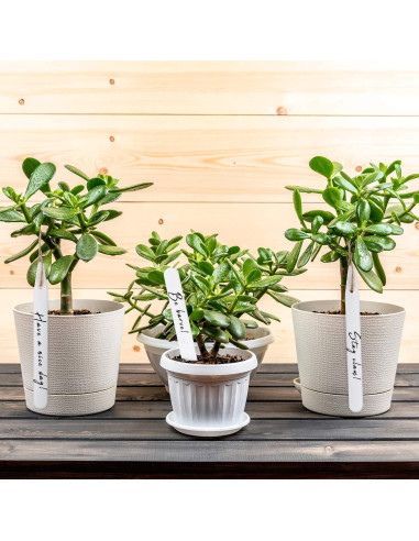 Etiquetas de Jardín Whaline 200 Pcs Blancas 10 CM Impermeables