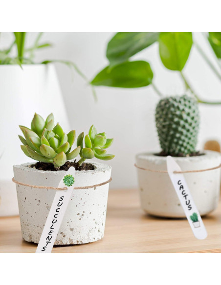 Etiquetas de Jardín Whaline 200 Pcs Blancas 10 CM Impermeables