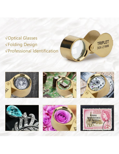 Lupa de bolsillo Rongon 30X con estuche retráctil 21mm