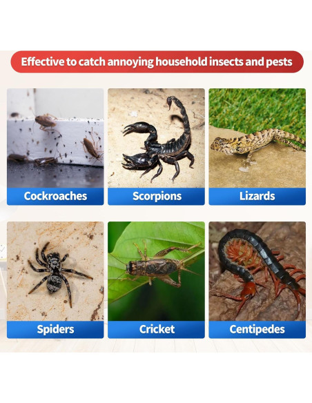 Trampas de Pegamento LULUCATCH 12 Piezas para Ratones e Insectos Trampas de Pegamento LULUCATCH 12 Piezas para Ratones e Insectos