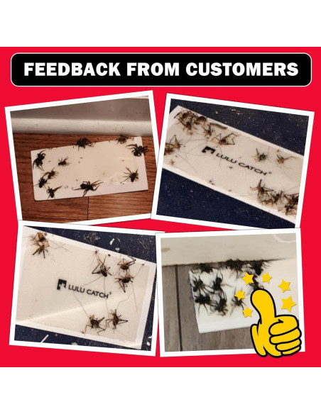 Trampas de Pegamento LULUCATCH 12 Piezas para Ratones e Insectos Trampas de Pegamento LULUCATCH 12 Piezas para Ratones e Insectos
