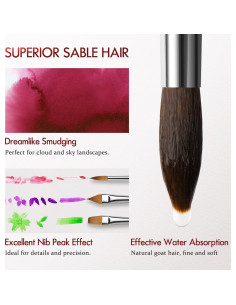 Juego de 9 Pinceles de Acuarela Profesional Lenbicki 2