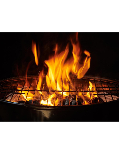 Encendedores Ignite-O - 50 Paquetes - Sin Olores y Rápidos