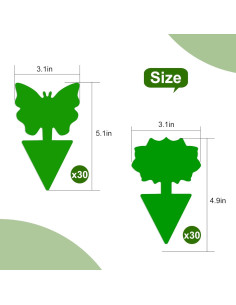 Trampas Adhesivas para Moscas de Fruta Boromine - Paquete de 60 2