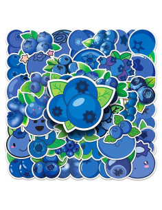 50 Calcomanías de Arándano Vinilo Impermeable LYLSDSB