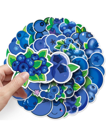50 Calcomanías de Arándano Vinilo Impermeable LYLSDSB